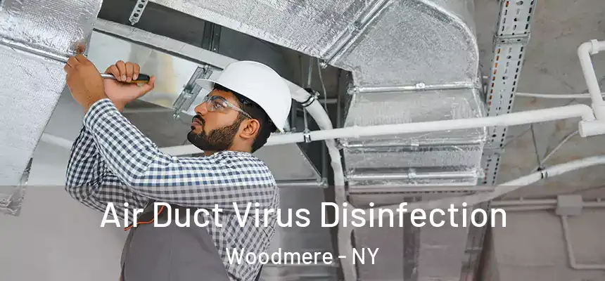  Air Duct Virus Disinfection Woodmere - NY