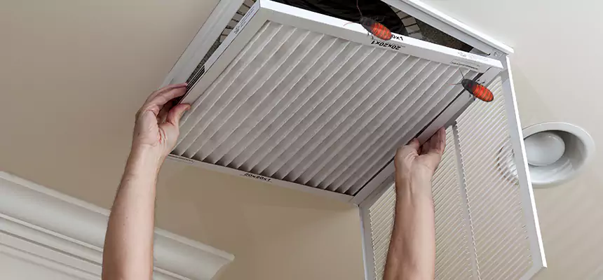 Preventive Cockroach-Proofing for Ducts in Woodmere