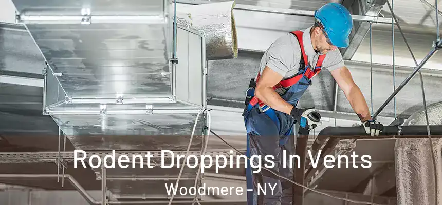  Rodent Droppings In Vents Woodmere - NY