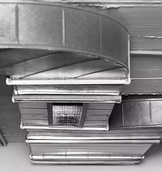 Professional Air Duct Pest Removal in Woodmere, NY