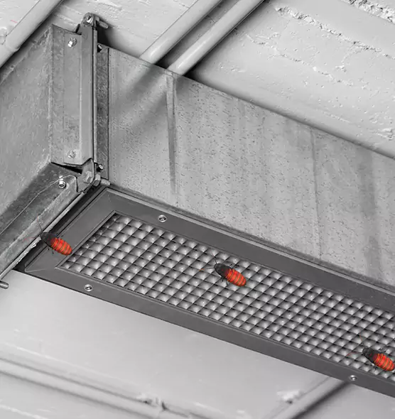 Affordable Insect Removal from Air Ducts in Woodmere, NY