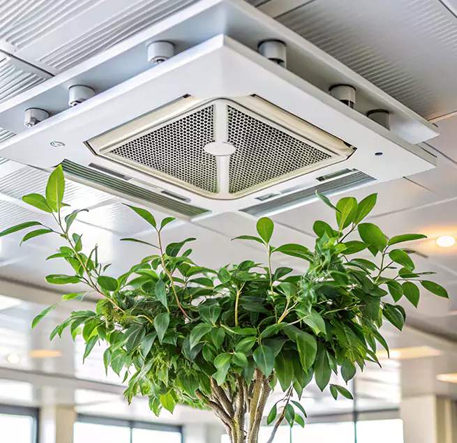 Why Homeowners & Businesses Trust Us in Woodmere, NY